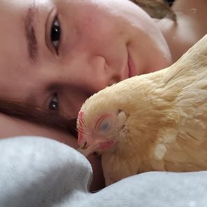 Meet your Posher, Pippy